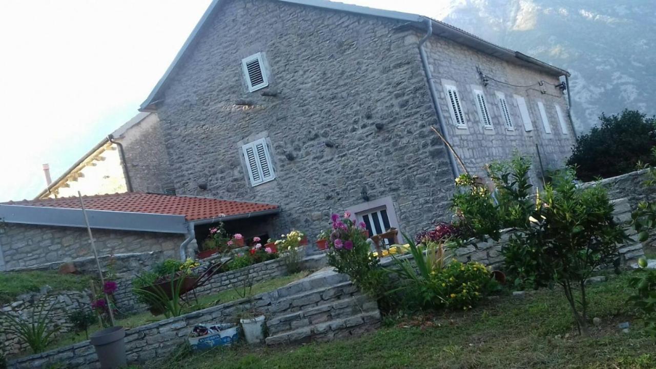 Guest House Maza كوتور المظهر الخارجي الصورة