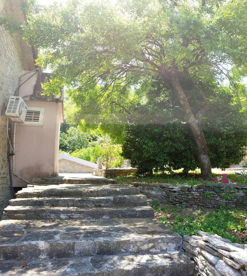 Guest House Maza كوتور المظهر الخارجي الصورة