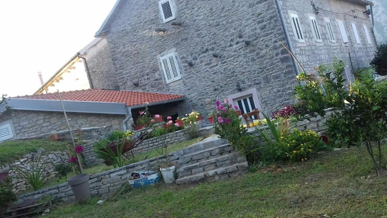 Guest House Maza كوتور المظهر الخارجي الصورة
