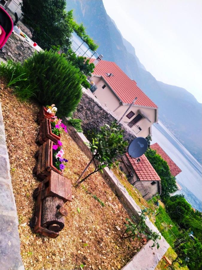 Guest House Maza كوتور المظهر الخارجي الصورة